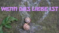 Wenn Das Liebe Ist - 